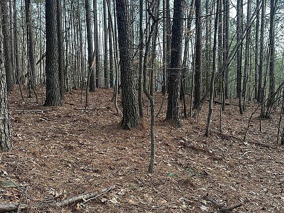 5th image of 193 Windingwood Dr