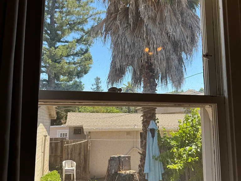 Rose Ave — Photo 13