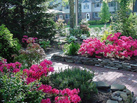 Landscaped Front yard