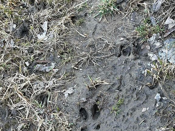 5th image of 6732 N West County Line Rd #4