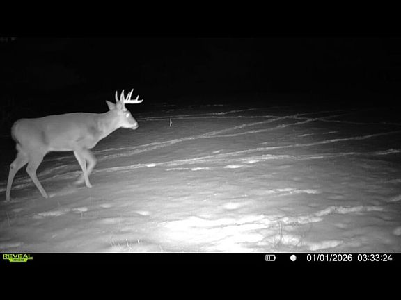 5th image of Dewey Rd