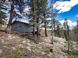1107 E Bison Creek Trl, Divide, CO 80814