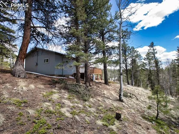 1107 E Bison Creek Trl, Divide, CO 80814