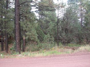 2885 Markham Rd, Overgaard, AZ 85933