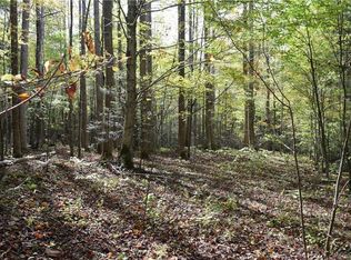 0 Poplar Creek Rd, Bakersville, NC 28705