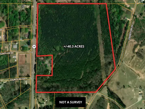 Highway 25, Dennis, MS 38838