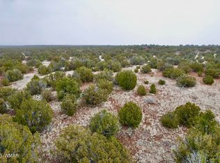 126 & 130 County Road 8057, Concho, AZ 85924