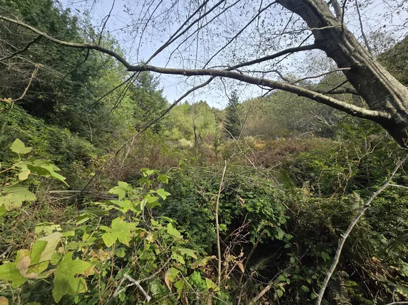 00 & 000 Wolverine Way, Whitethorn, CA 95589