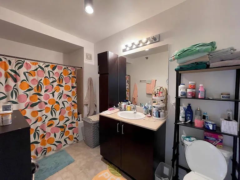 611 S Wells St #809 — Photo 8