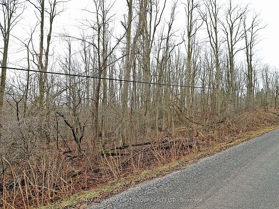 4th image of 207 Goodfellow Rd