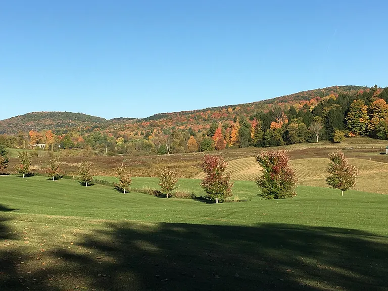 10 Acres
