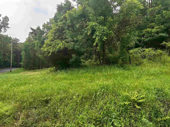 TBD Old Kings Road, Catskill, NY 12414