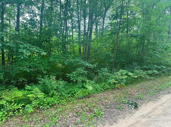 Lots 50 & 51 Jackie Dr, Harrison, MI 48625