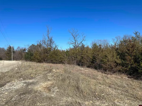 002-11234-001 County Road 36, Clarkridge, AR 72623