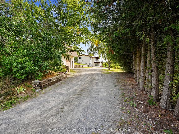 2nd image of 217 Godolphin Rd