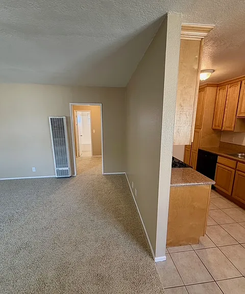 1009 Seabreeze Dr — Photo 9