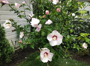 1006 Wetmore Ave, Everett, WA 98201