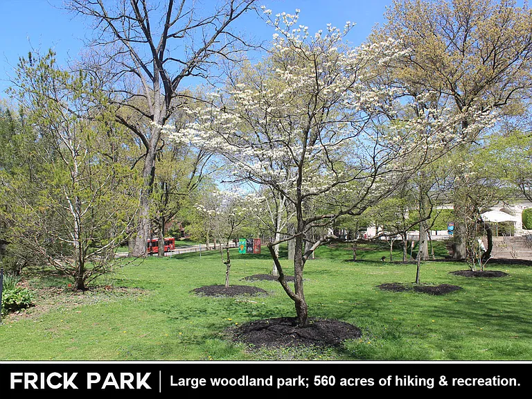 424 Franklin Ave #1 — Photo 23