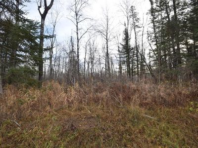 0 Fire Lane Road, Danbury, WI, 54830