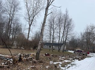11157 Hannah Jane Dr, Fowlerville, MI