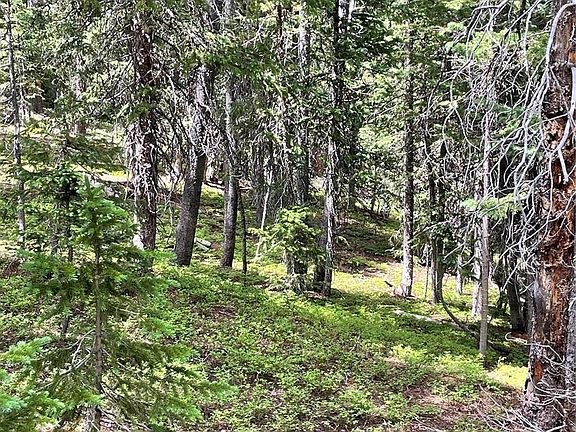 3rd image of 1260 Elk Park Road