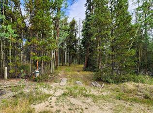 67 Rye Ct, Fairplay, CO 80440