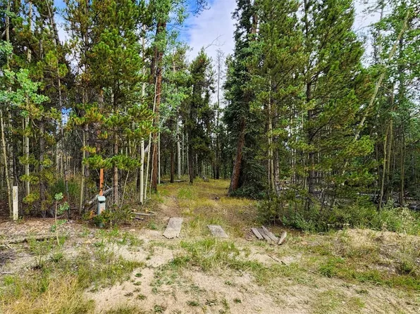 67 Rye Court, Fairplay, CO 80440