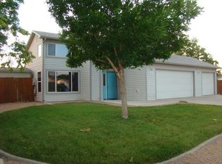313 Catkin St, Fruita, CO 81521