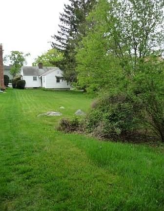 Backyard, flat 1/4 acre