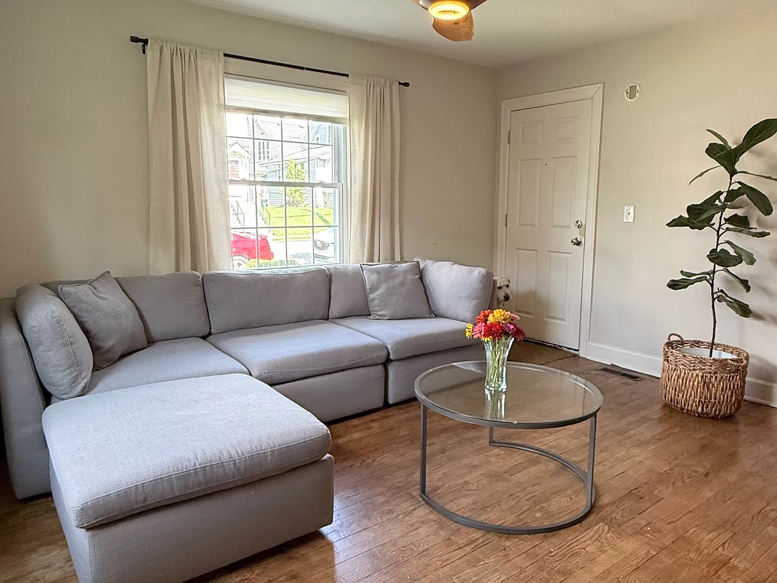 2 bed, 800 sqft, $1,000 — Photo 3