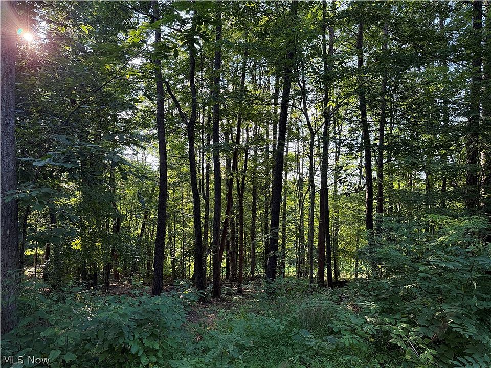 1st image of 0 Fisher Ridge Rd Tract 6