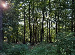 0 Fisher Ridge Rd Tract 6, Fleming, OH 45729