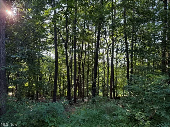 0 Fisher Ridge Rd Tract 6, Fleming, OH 45729