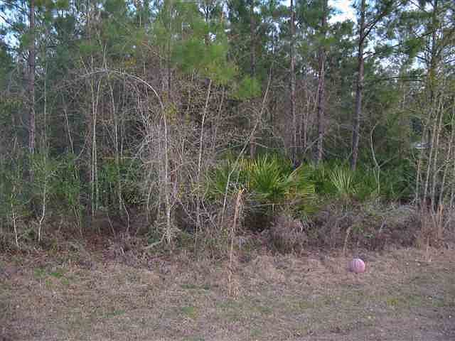 1st image of 63 Old Palmetto Path #0
