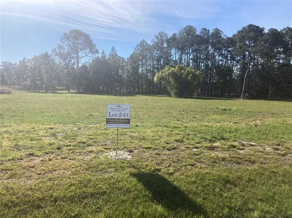 38518 Wooded Meadow Dr Lot 43, Umatilla, FL 32784