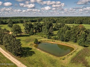 2498 SW Hilton Ln, Smithdale, MS 39664