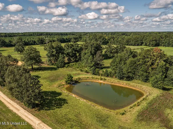2498 SW Hilton Ln, Smithdale, MS 39664