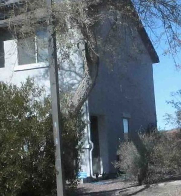 Property Side View