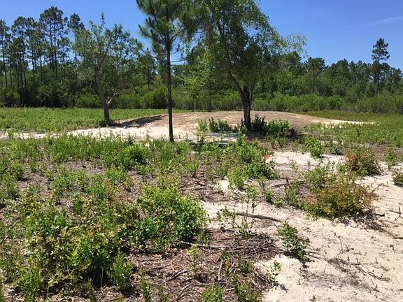 2nd image of 1650 Sopchoppy Hwy #0