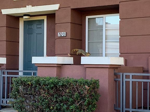 2nd image of 752 City Walk Pl APT 3