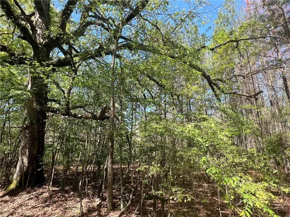 0 Nation Rd, Deville, LA 71328