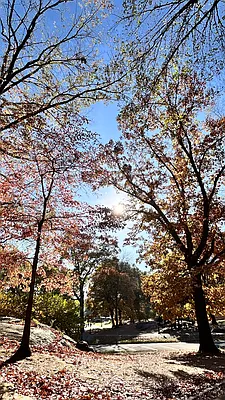 Rented by Keller Williams NYC | media 15