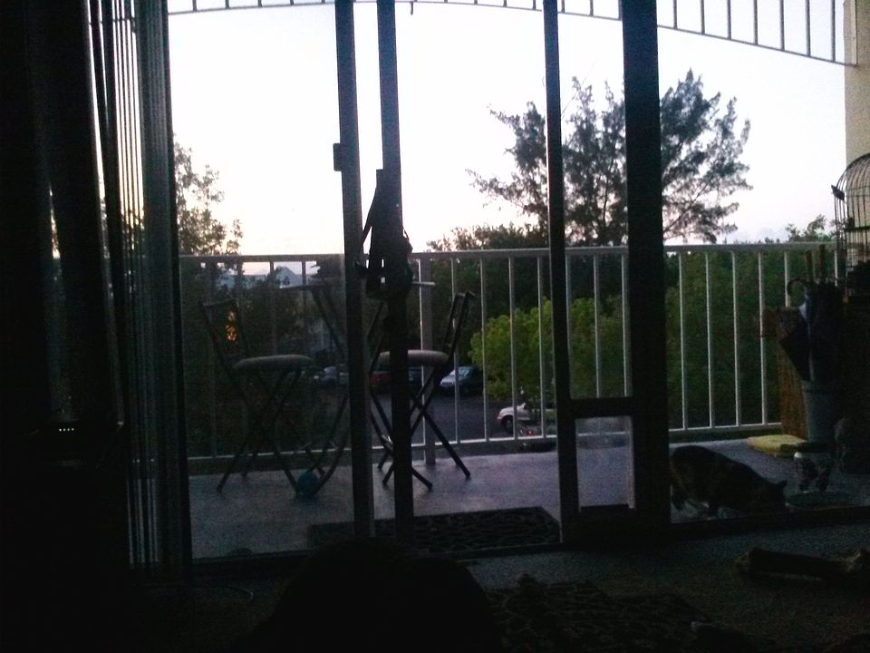 1st image of 3920 S Roosevelt Blvd APT 207S