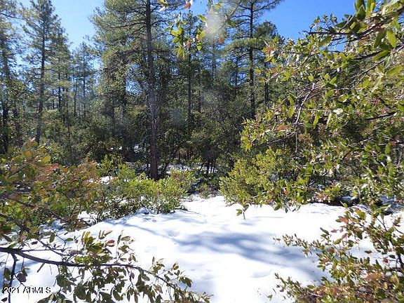 5th image of Lot 48 W Forest Trail #48