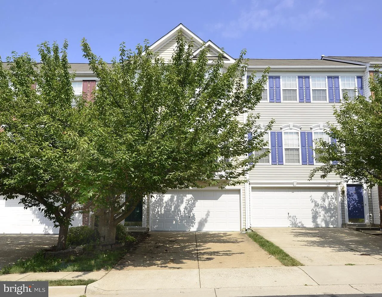 18529 Inula Sq photo 1