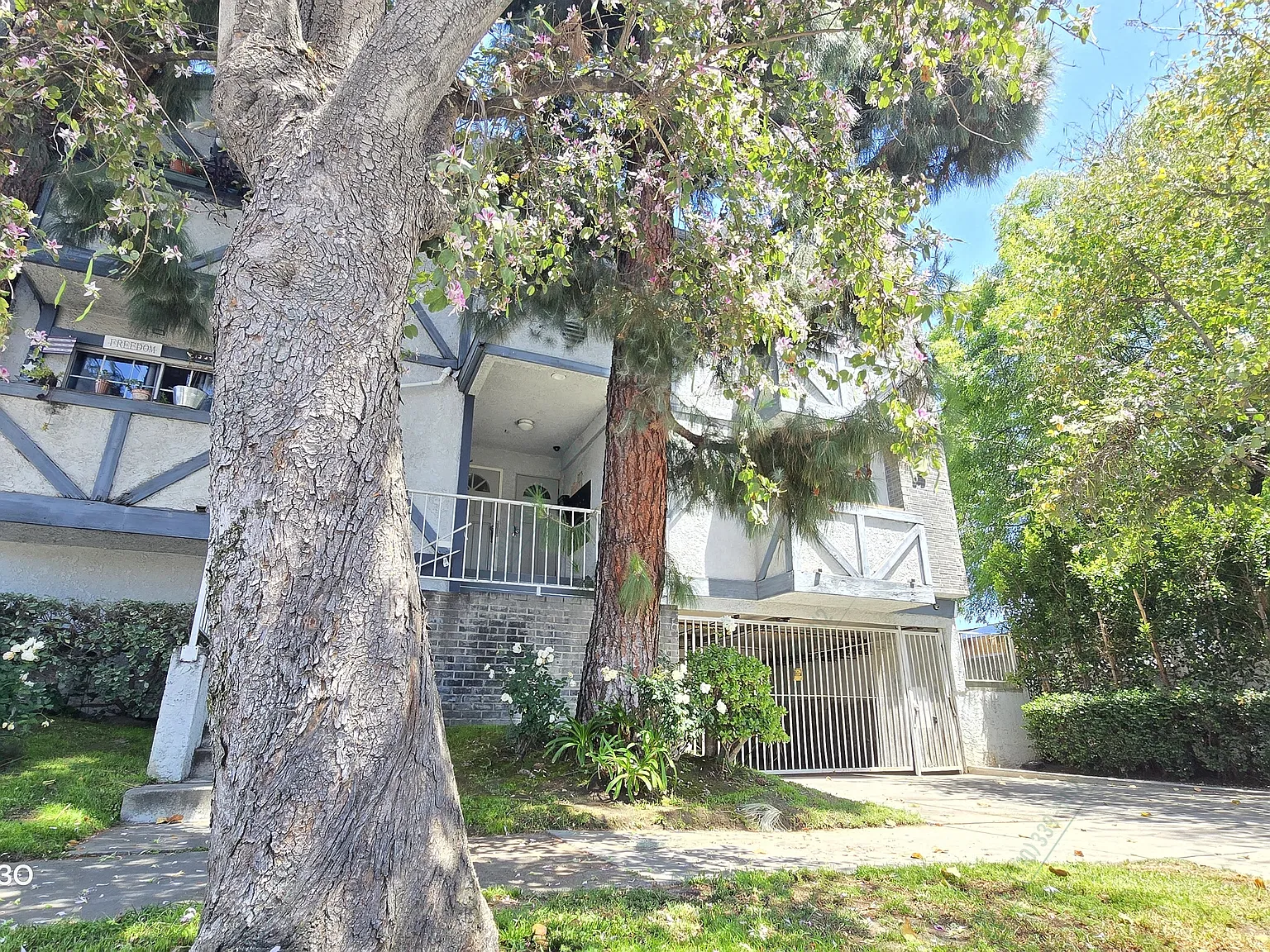 1 bed, 552 sqft, $1,795 — Photo 3