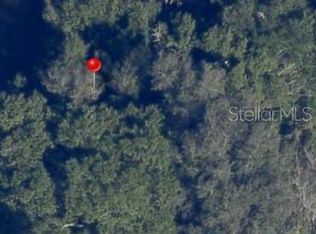 SE 143rd Ln, Summerfield, FL 34491