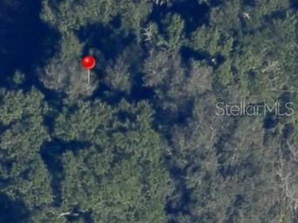 SE 143rd Ln, Summerfield, FL 34491