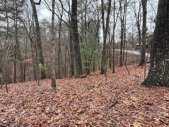 2nd image of 2115 Palisade Dr
