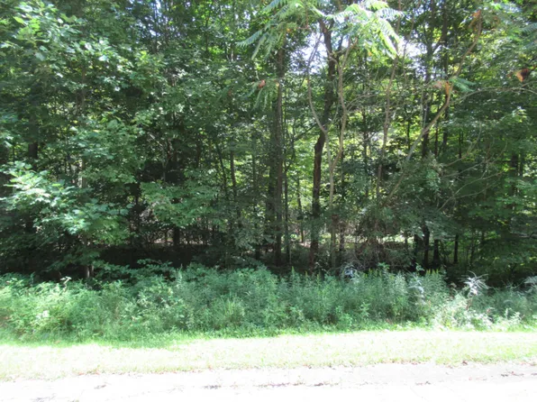 TRACT 6 Brookside Ct, Cassopolis, MI 49031